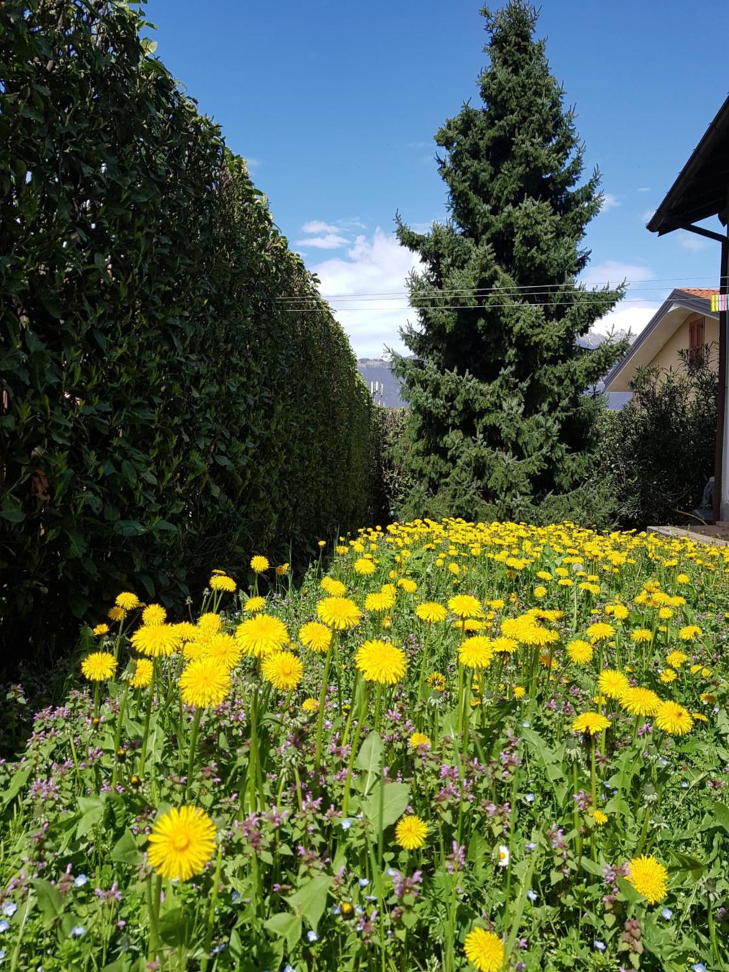Villa Iris -Pet Friendly Stay - Garden - Private Parking- Bike Friendly Holiday House Колико Экстерьер фото